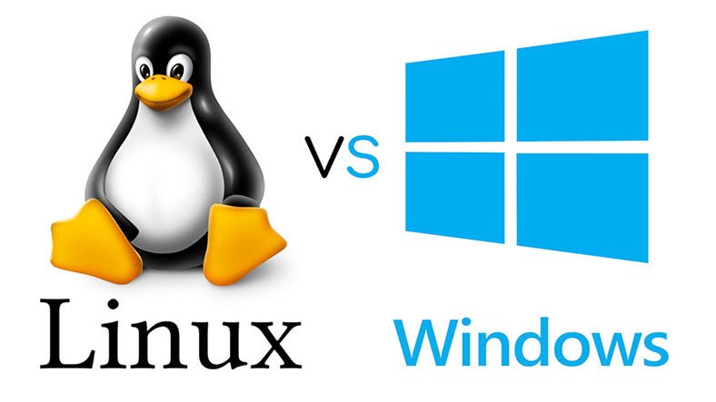 Linux ve Windows Hosting Nedir? Aralarındaki Fark Nedir?
